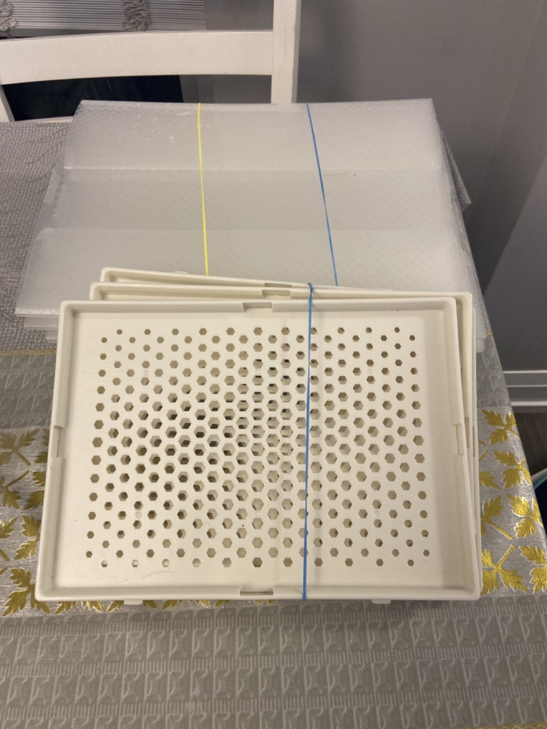 Stackable Plastic Storage Trays with Lids