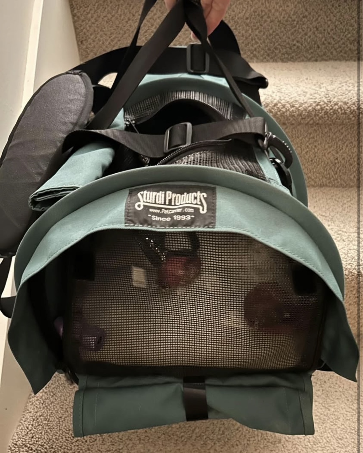 Pet Carrier
