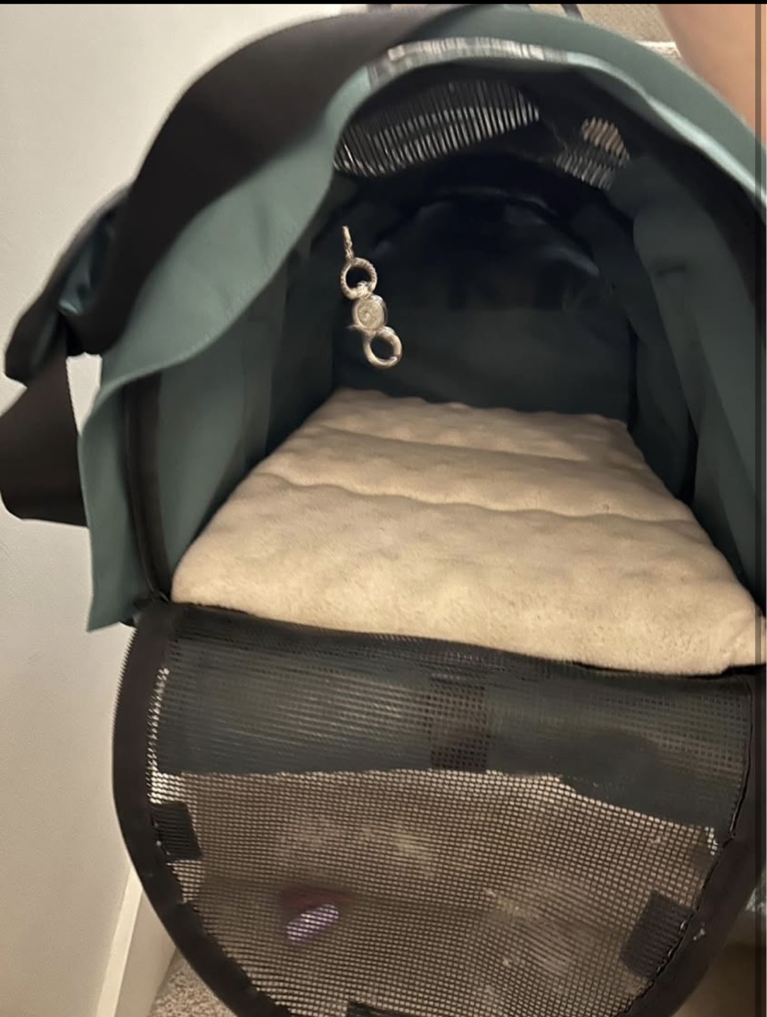 Pet Carrier - photo 5
