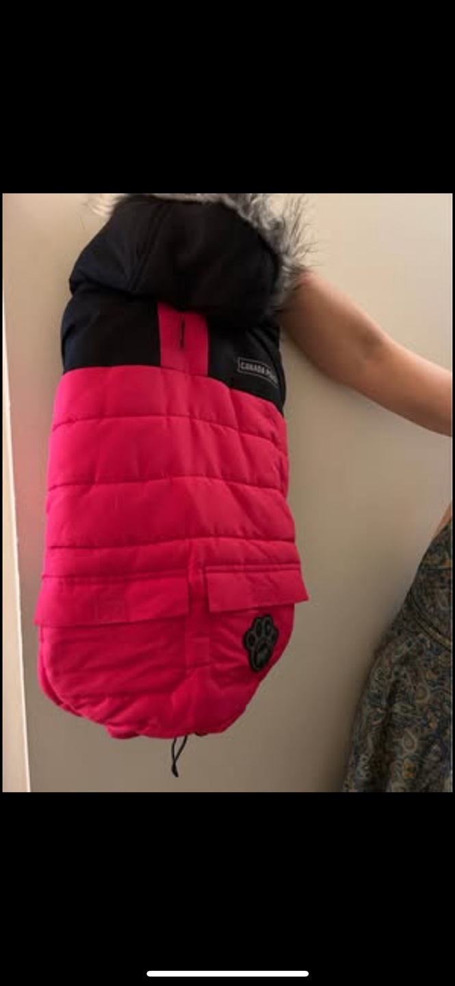 Canada Pooch Winter Coat - photo 2