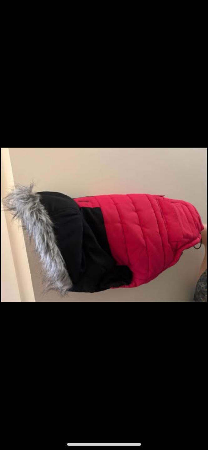 Canada Pooch Winter Coat