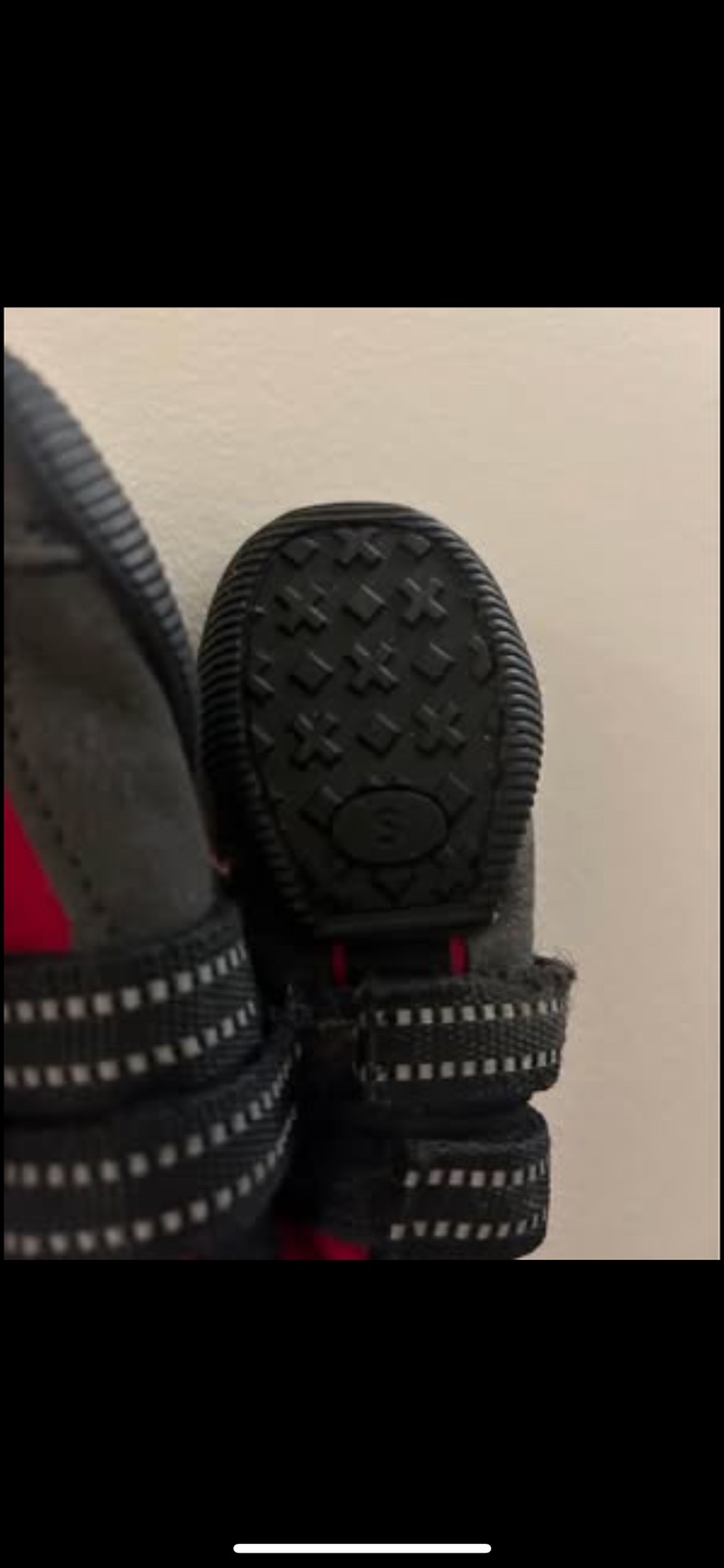 Winter Dog boots - photo 2