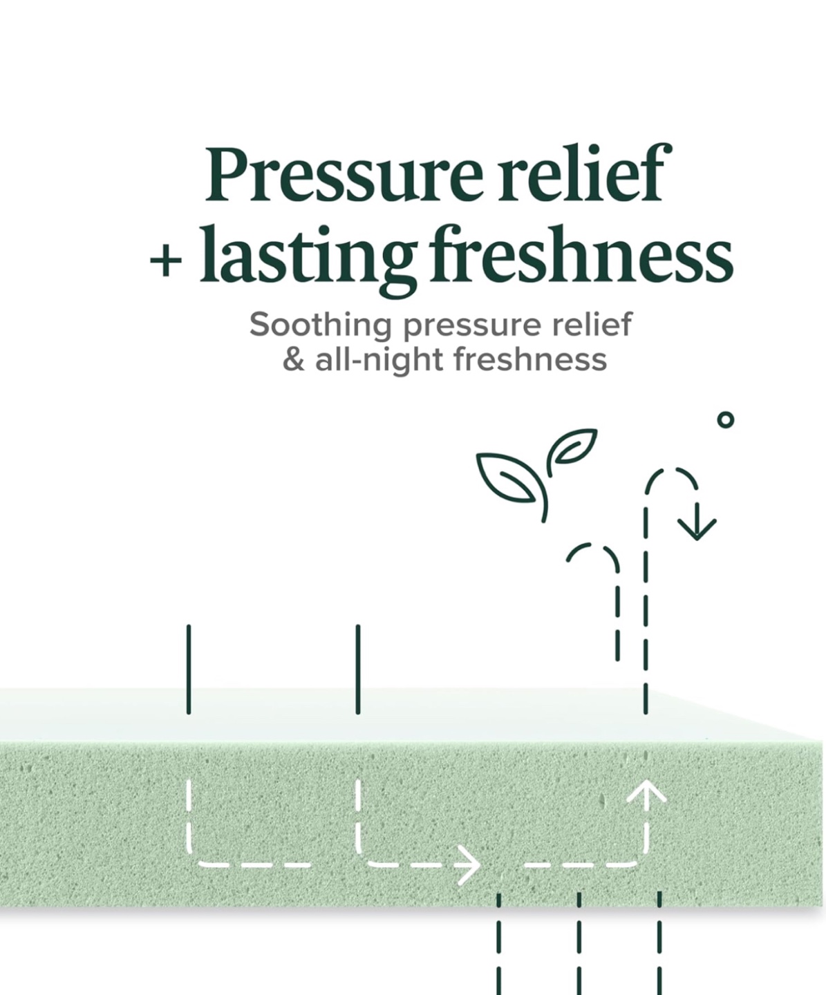 Zinus 6 Inch Green Tea Memory Foam Mattress - photo 2