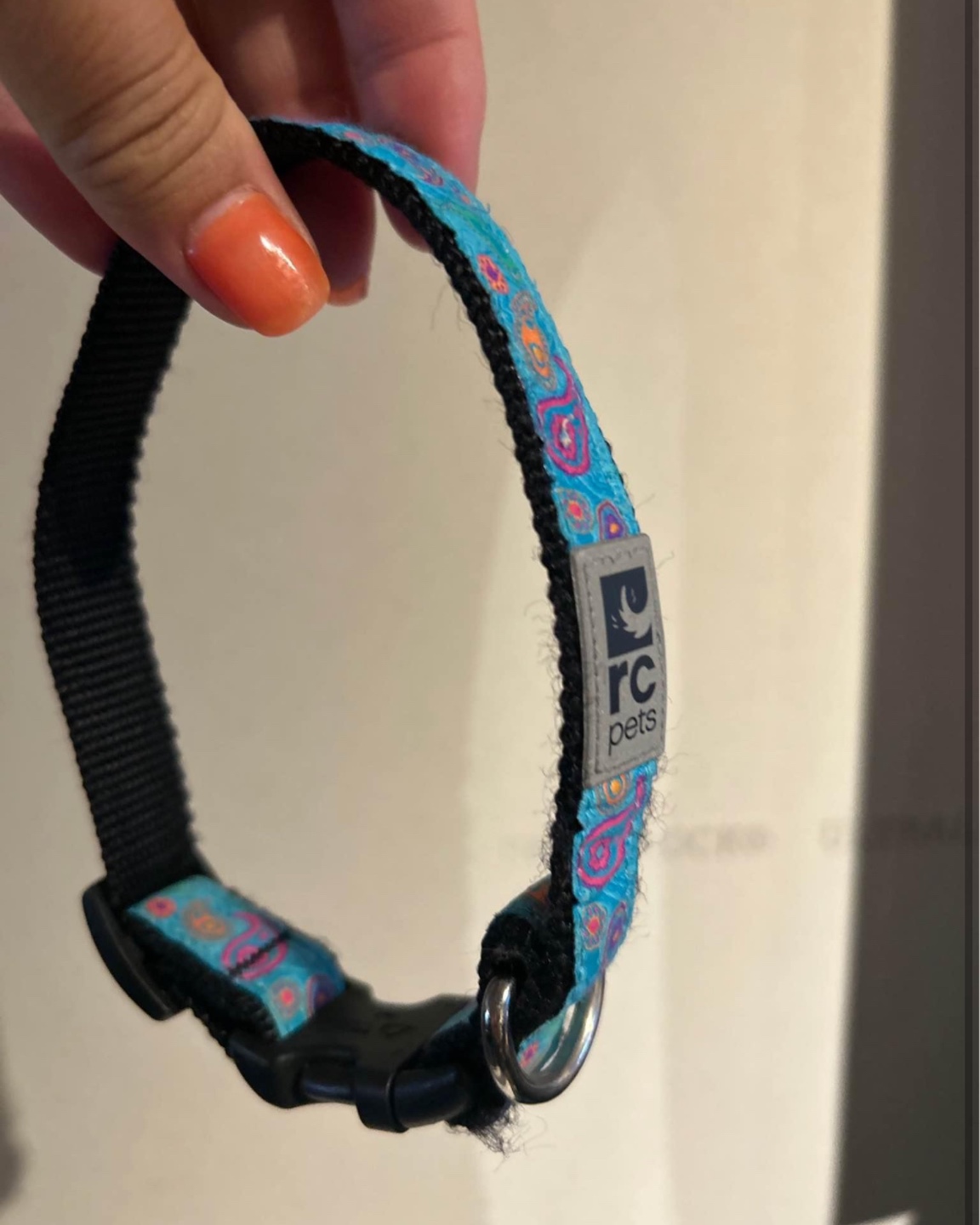 Dog collar and harness