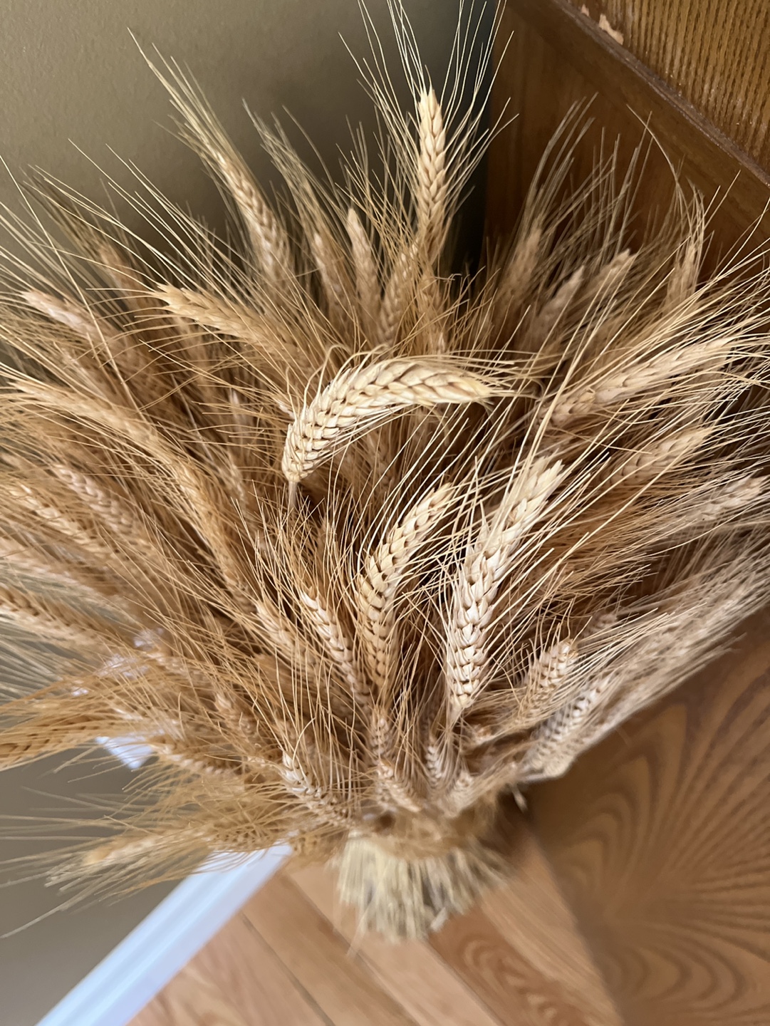 Dried Wheat Bundle Home Decor - photo 2