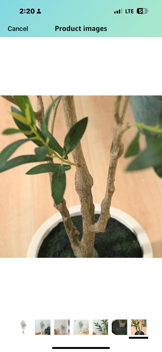 5ft Artificial Olive Tree in White Pot - photo 4