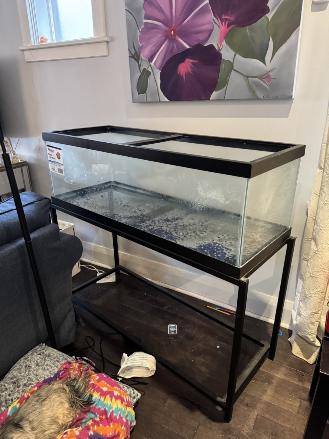 Aqueon 60 Gallon Glass Aquarium with Stand - photo 2