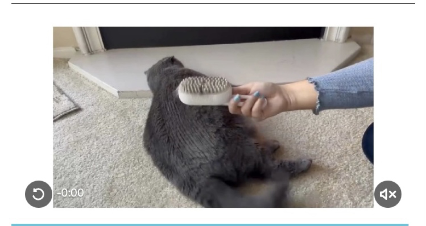 3-in-1 Pet Grooming System Electric Spray Massage Comb - photo 3