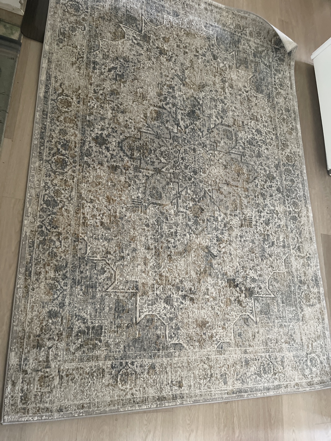 Surya Carmel Light Gray Area Rug 7'7" x 9'2"
