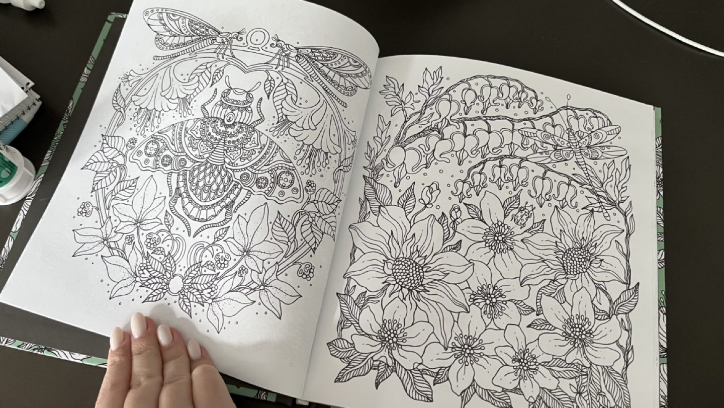 Adult Colouring Book - Daydreams by Hanna Karlson - photo 2