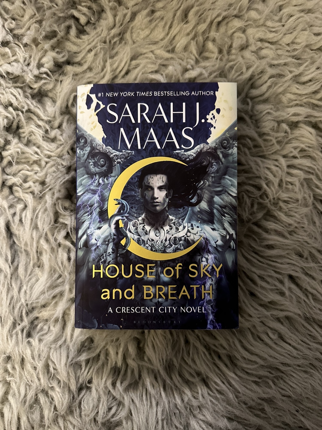 Crescent City Series 1-3 by Sarah J. Maas - photo 4