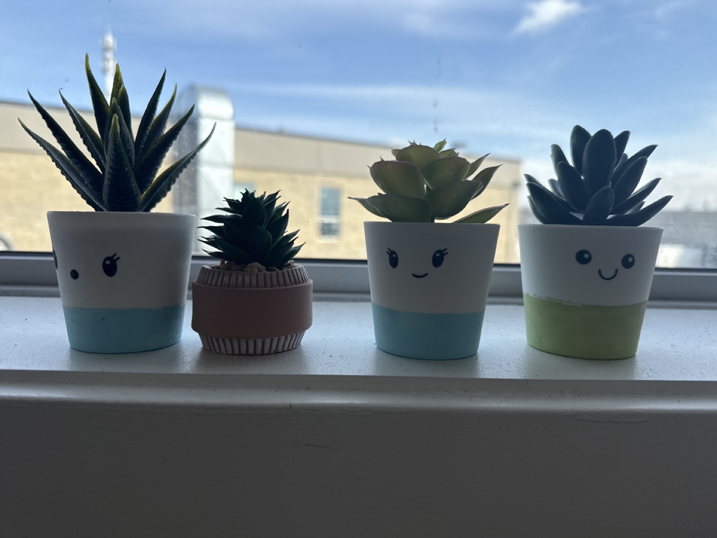 Set of four cute succulent pots