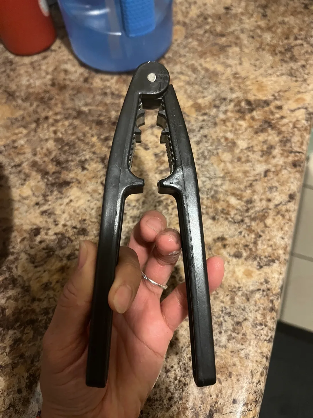 Black Nutcracker image indicator(3)