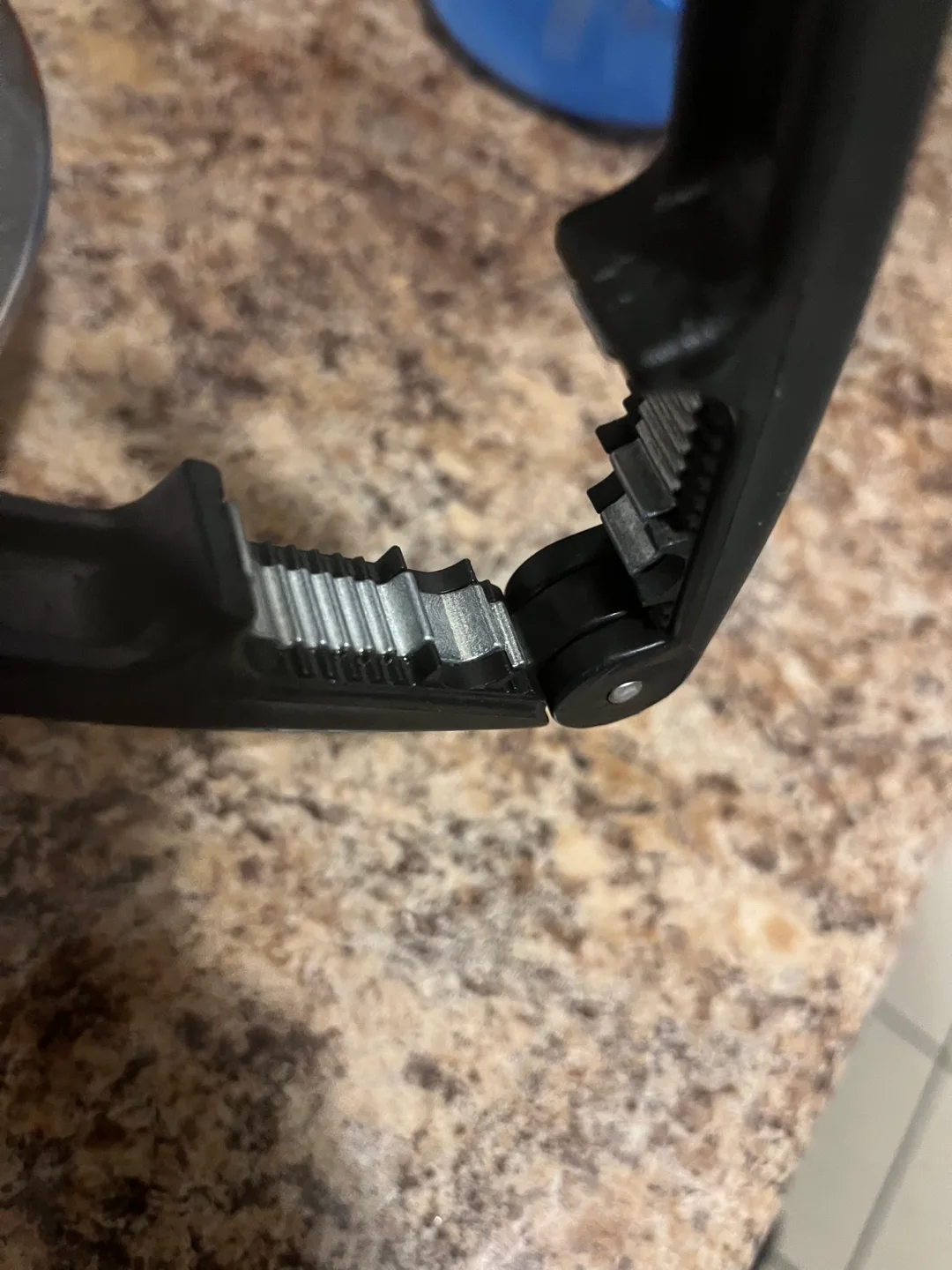 Black Nutcracker image indicator(2)