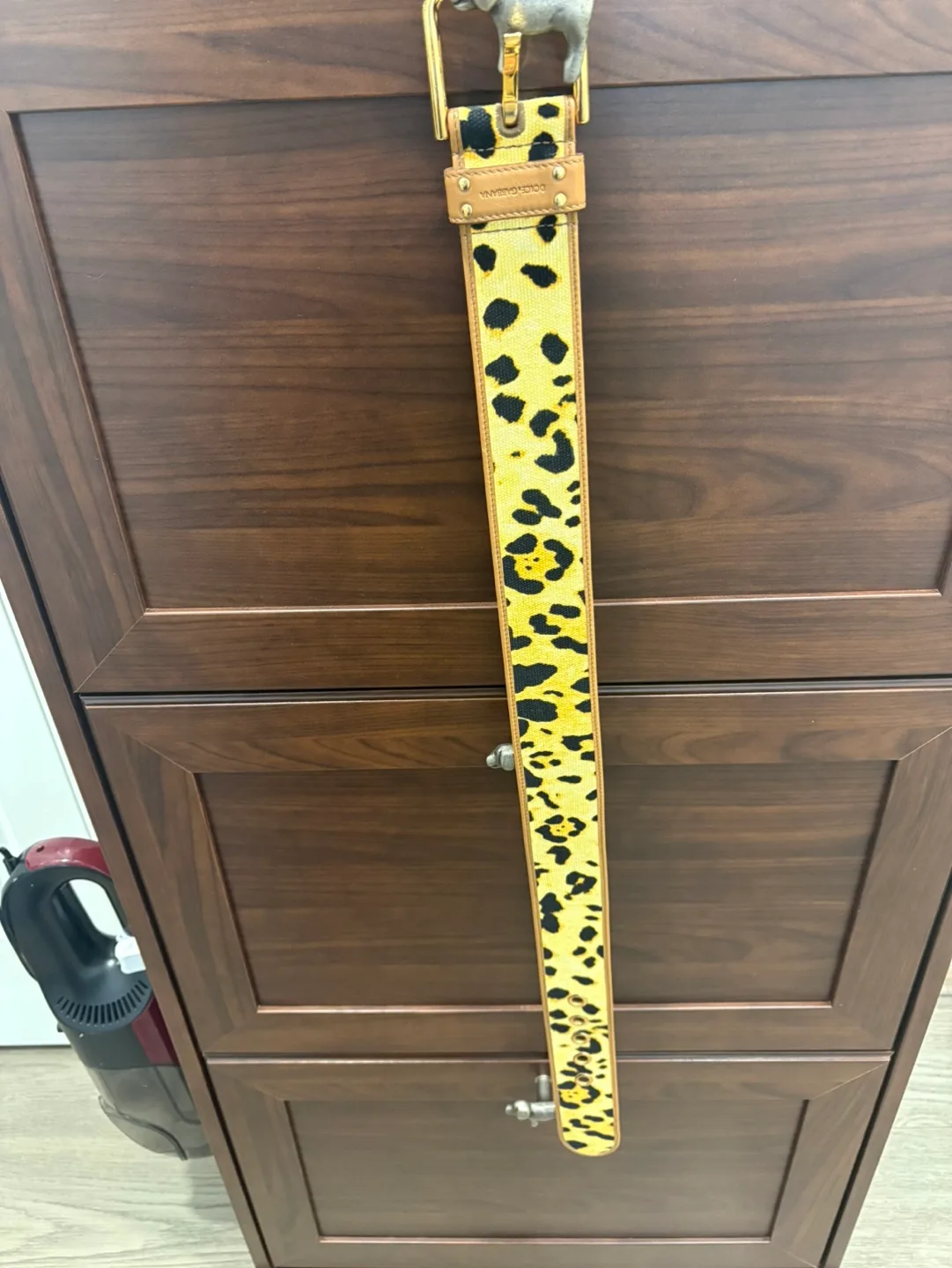 Dolce & Gabbana Leopard Print Belt image indicator(5)