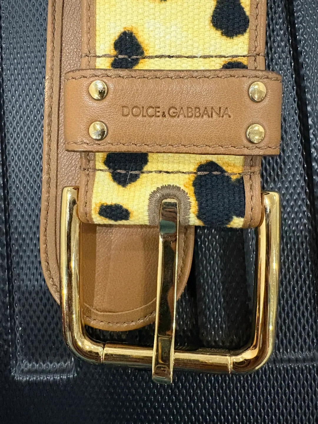 Dolce & Gabbana Leopard Print Belt image indicator(2)