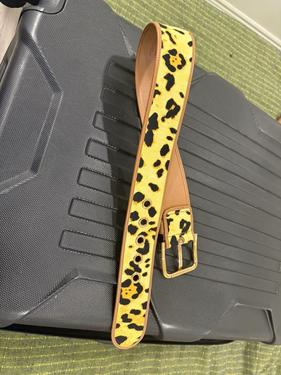 Dolce & Gabbana Leopard Print Belt image indicator(3)