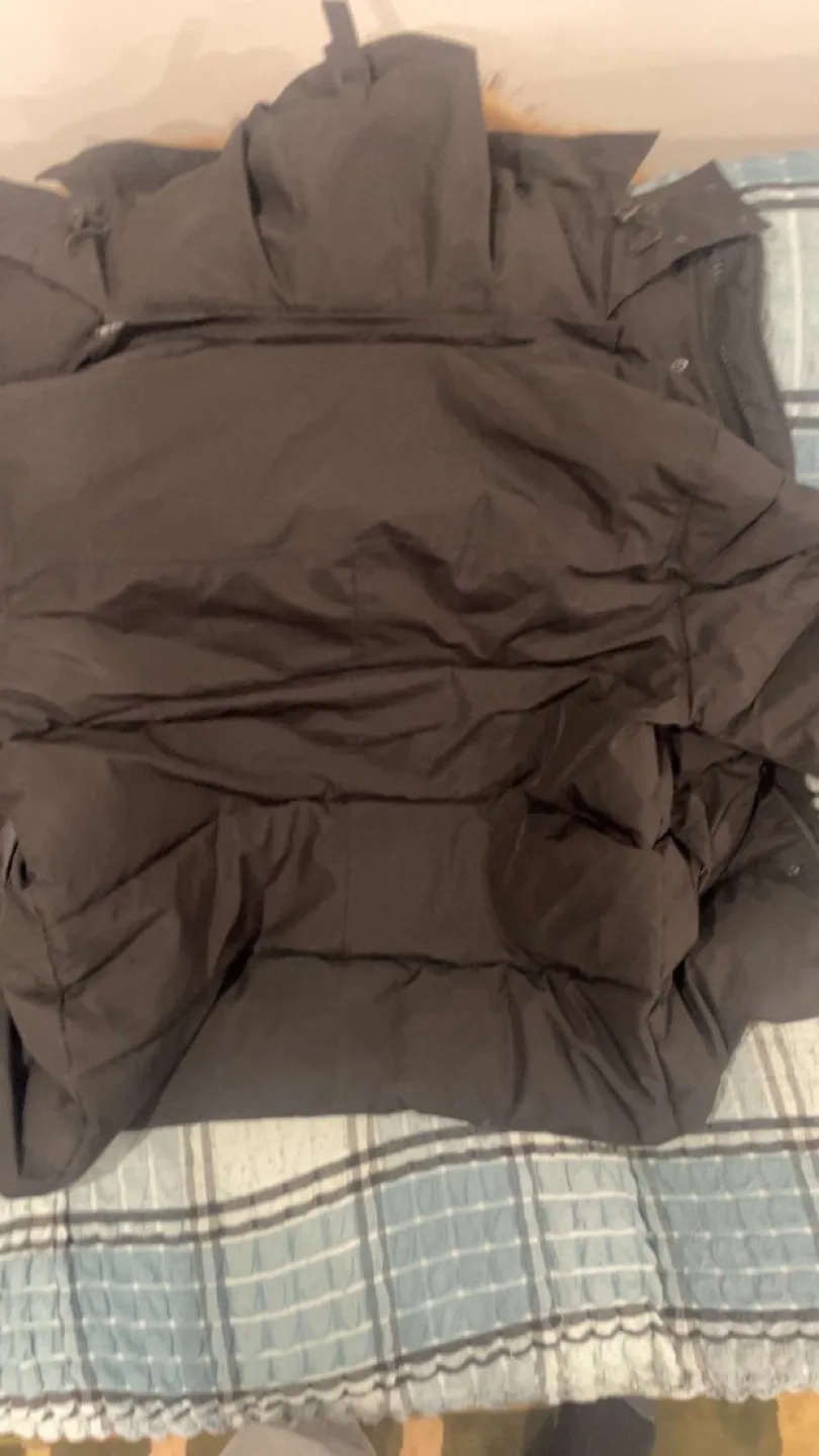 Canada goose image indicator(4)