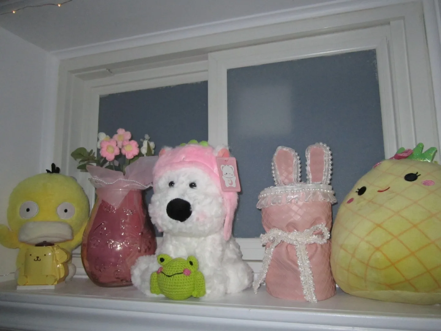 Canon PowerShot A2200 image indicator(2)