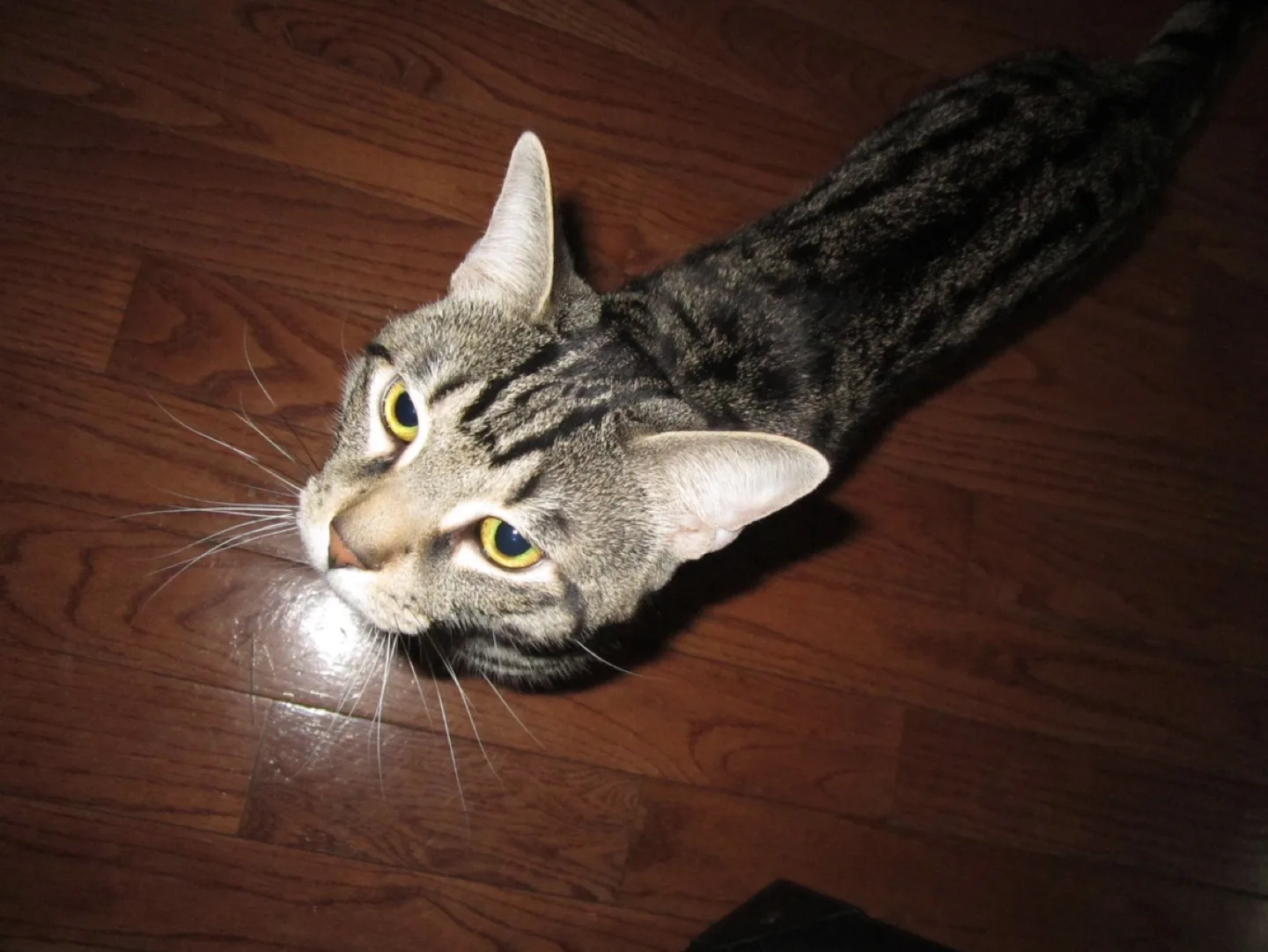 Canon PowerShot A2200 image indicator(3)