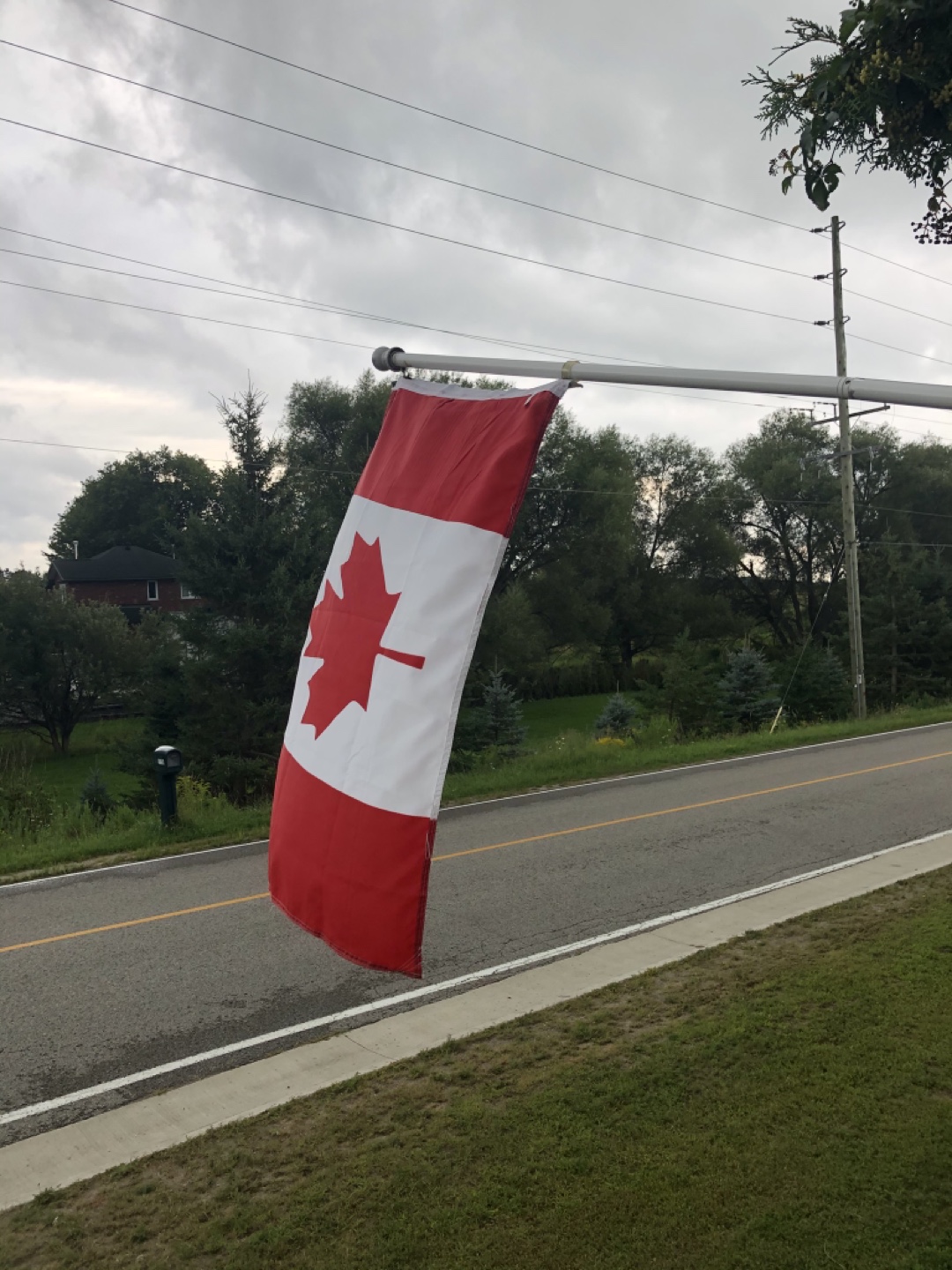 Canadian Flag - Outdoor Banner