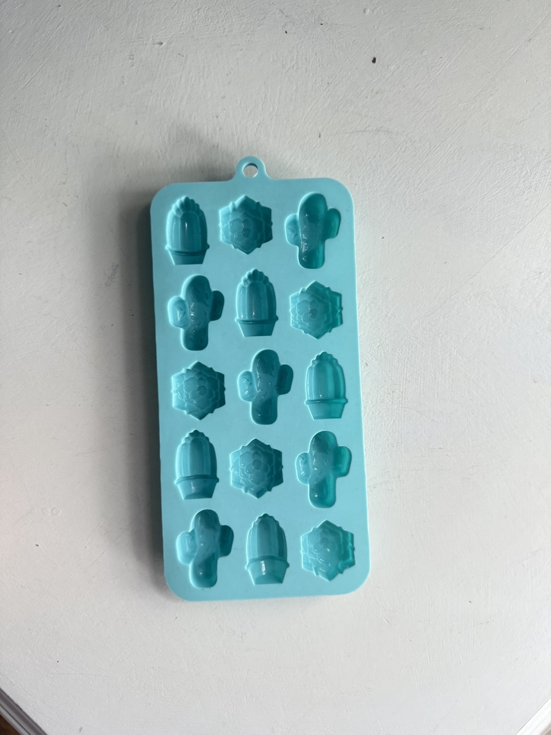 Cactus and Succulent Silicone Mould - photo 3