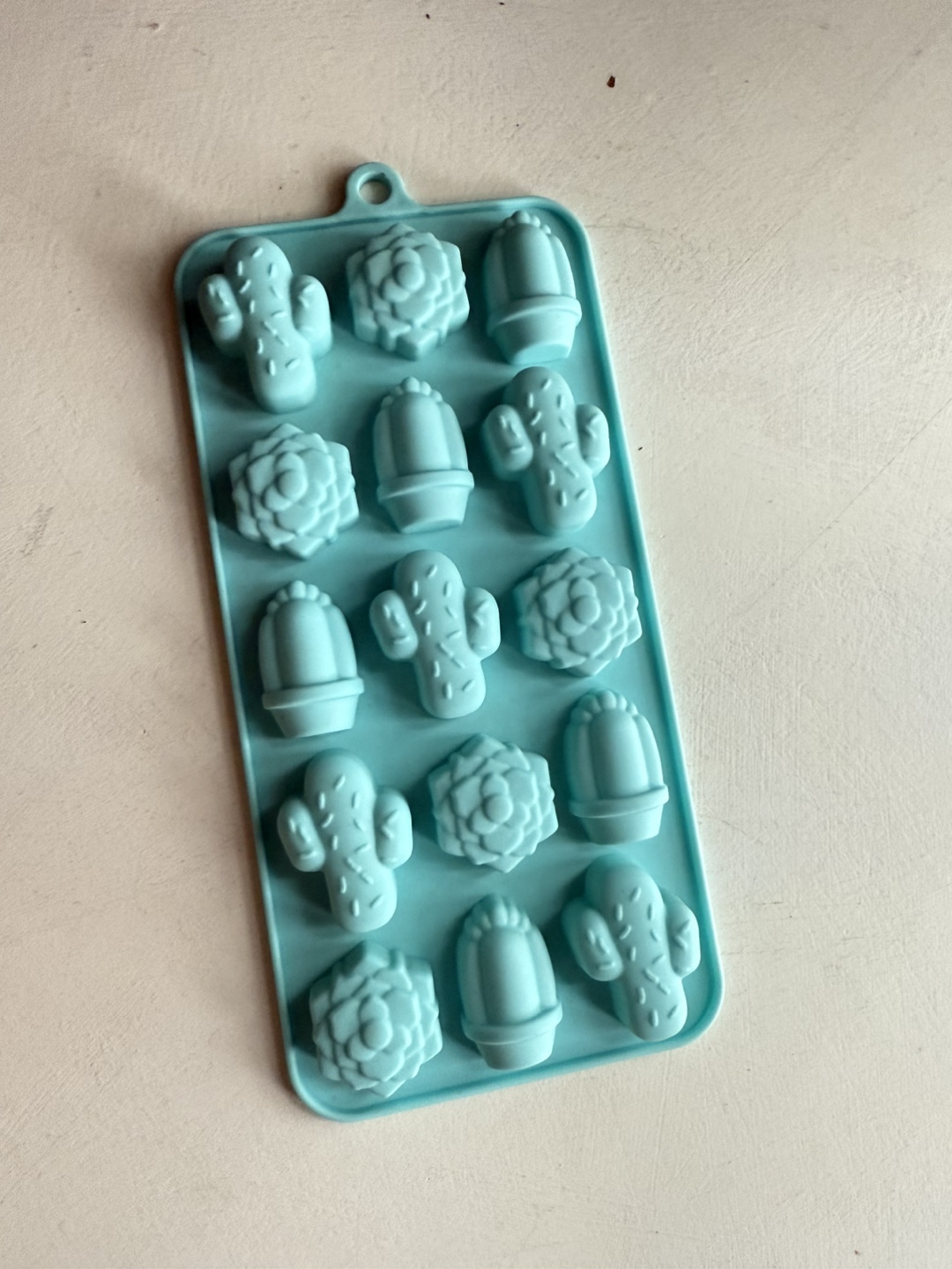 Cactus and Succulent Silicone Mould - photo 2