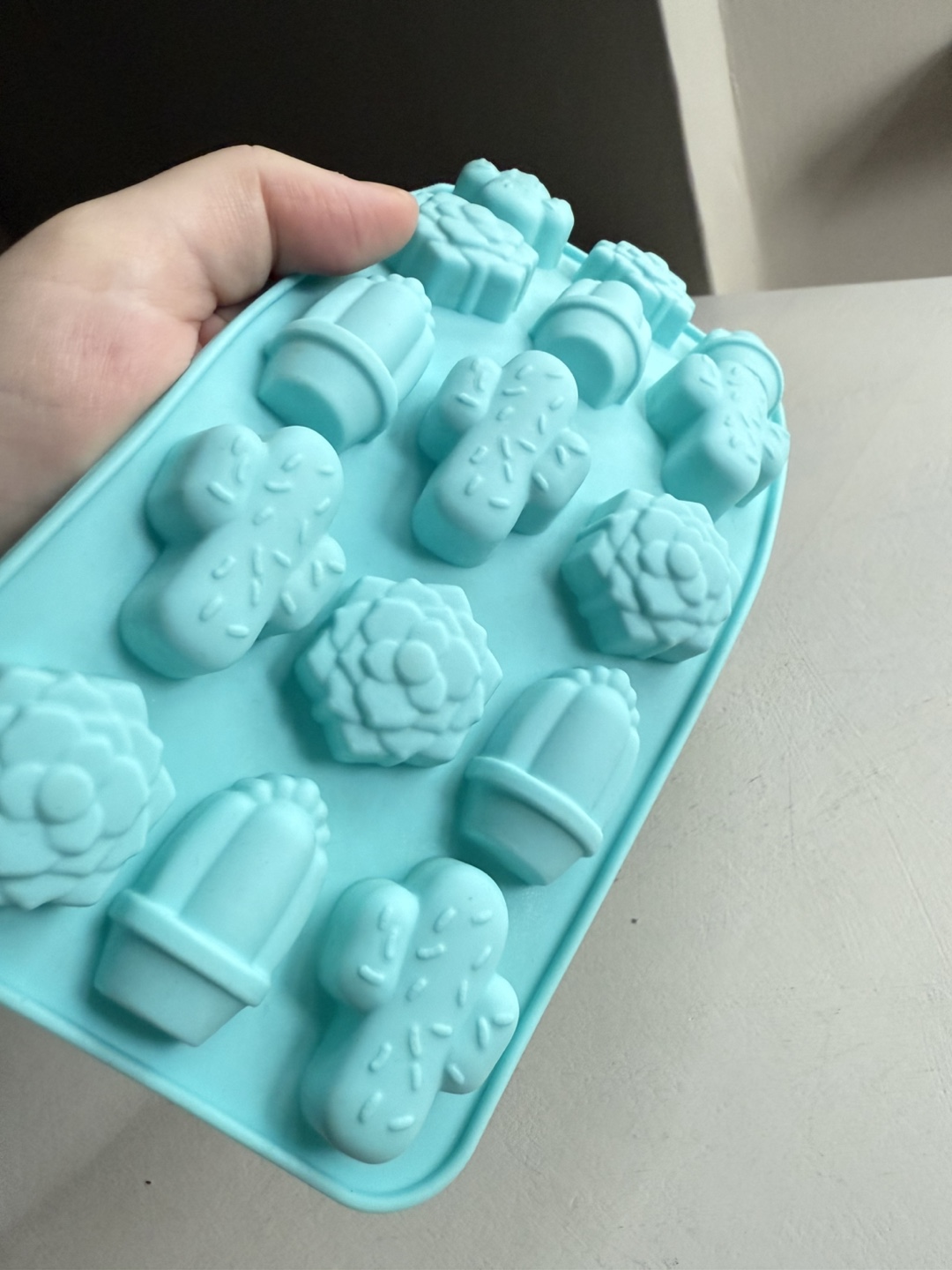 Cactus and Succulent Silicone Mould