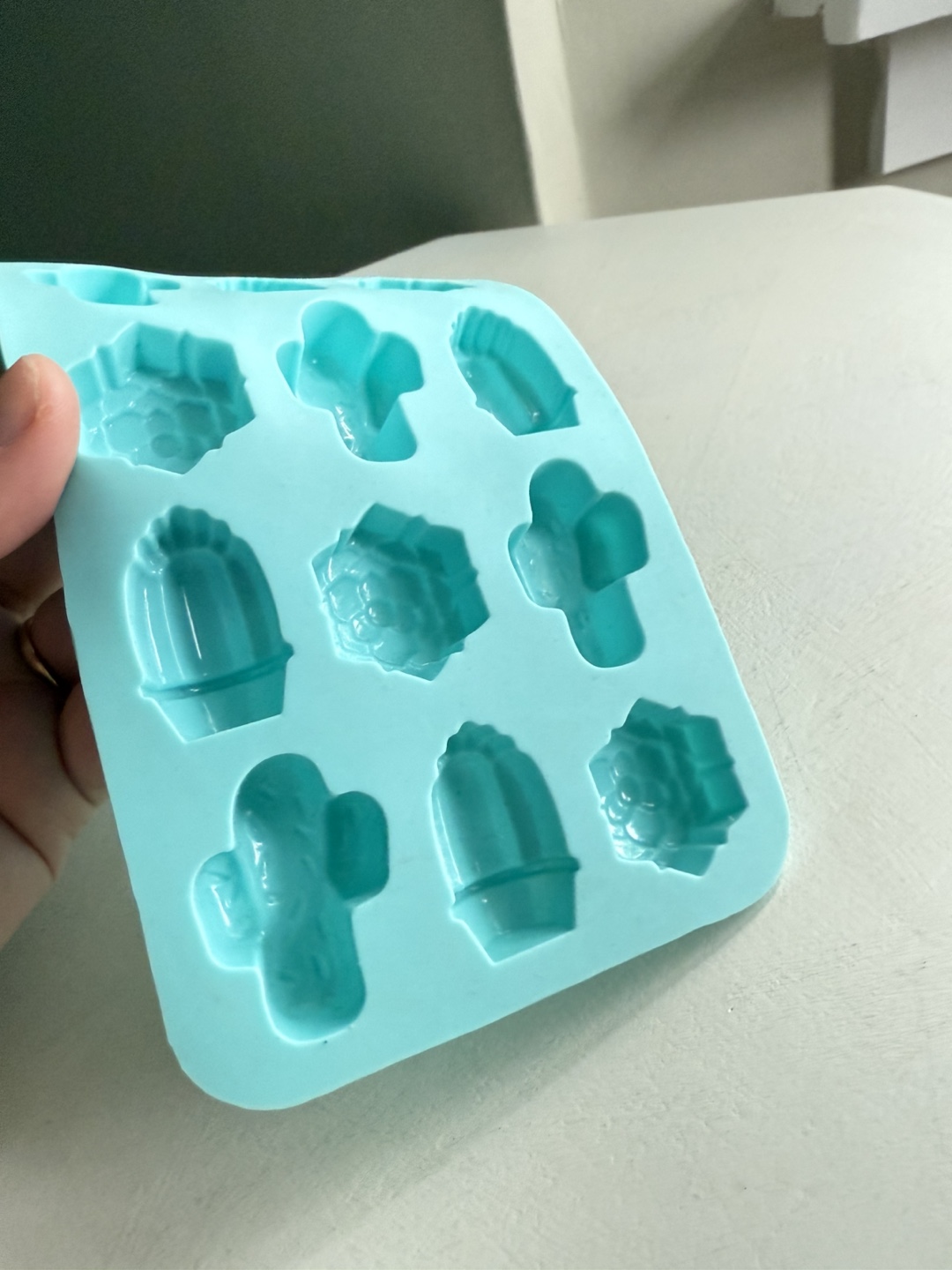 Cactus and Succulent Silicone Mould - photo 4