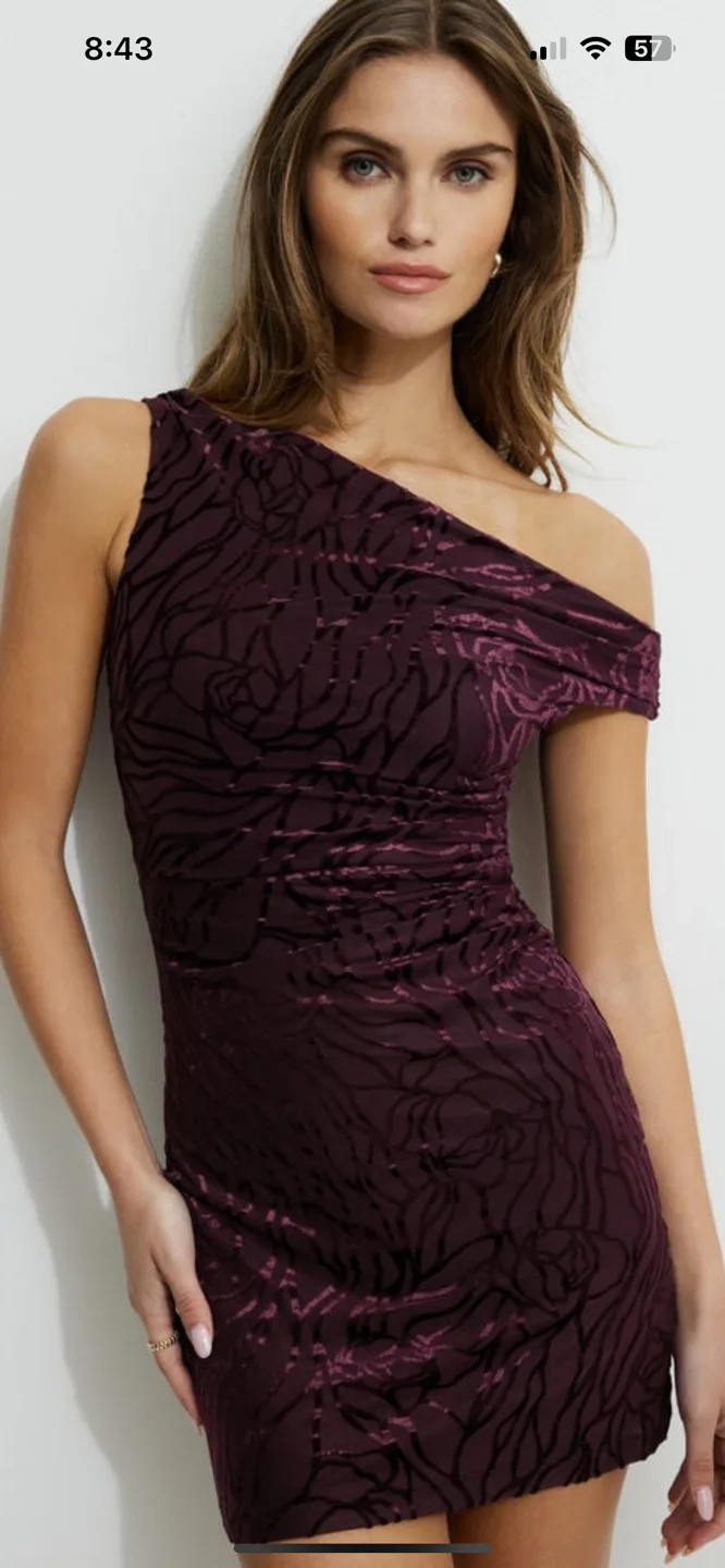 Burgundy Velvet One-Shoulder Mini Dress image indicator(2)
