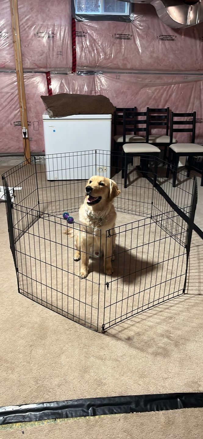 Black Metal Pet Playpen - photo 3