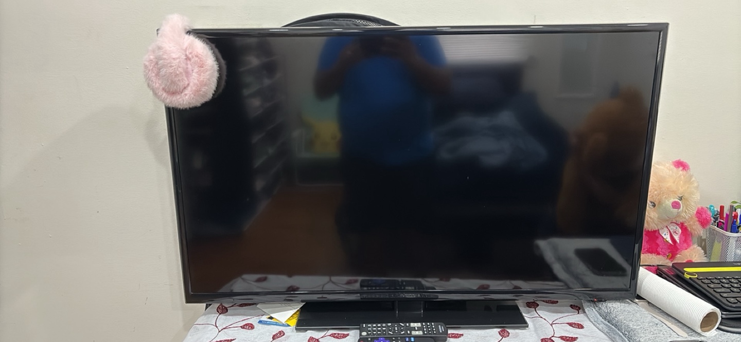 Insignia 43" LED HDTV with Roku Remote - photo 4