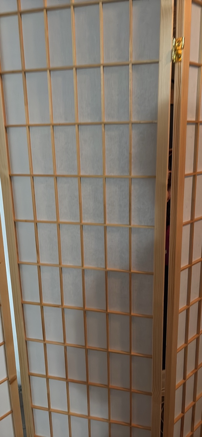 Triana 3-Panel Room Divider - photo 4