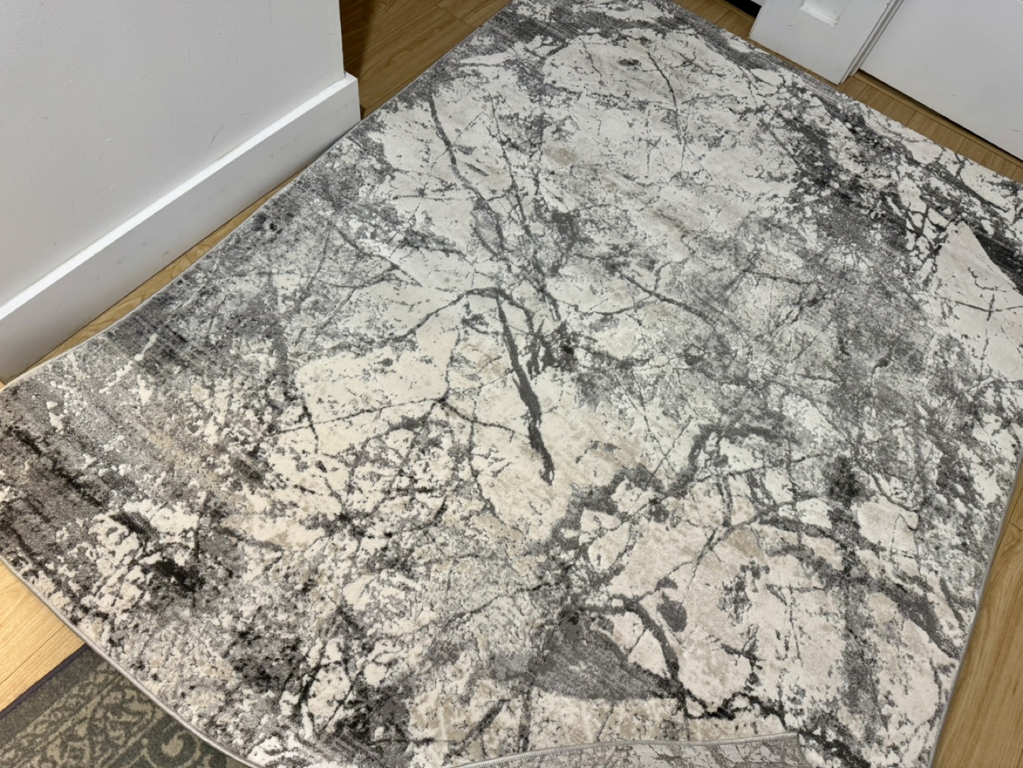 Kiran Collection Area Rug - Grey and Beige Marble Design - photo 2