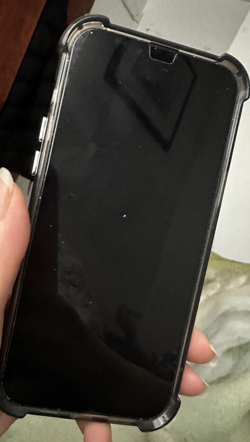 iPhone 13 Pro Max - photo 4
