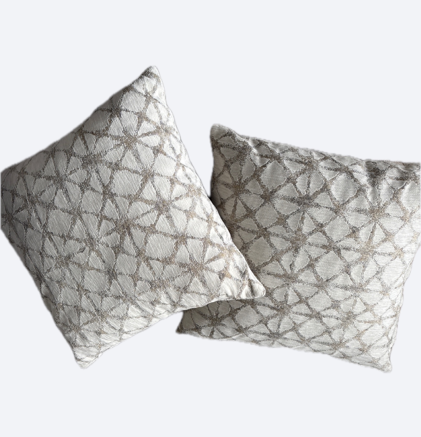Pair of Decorative Throw Pillows