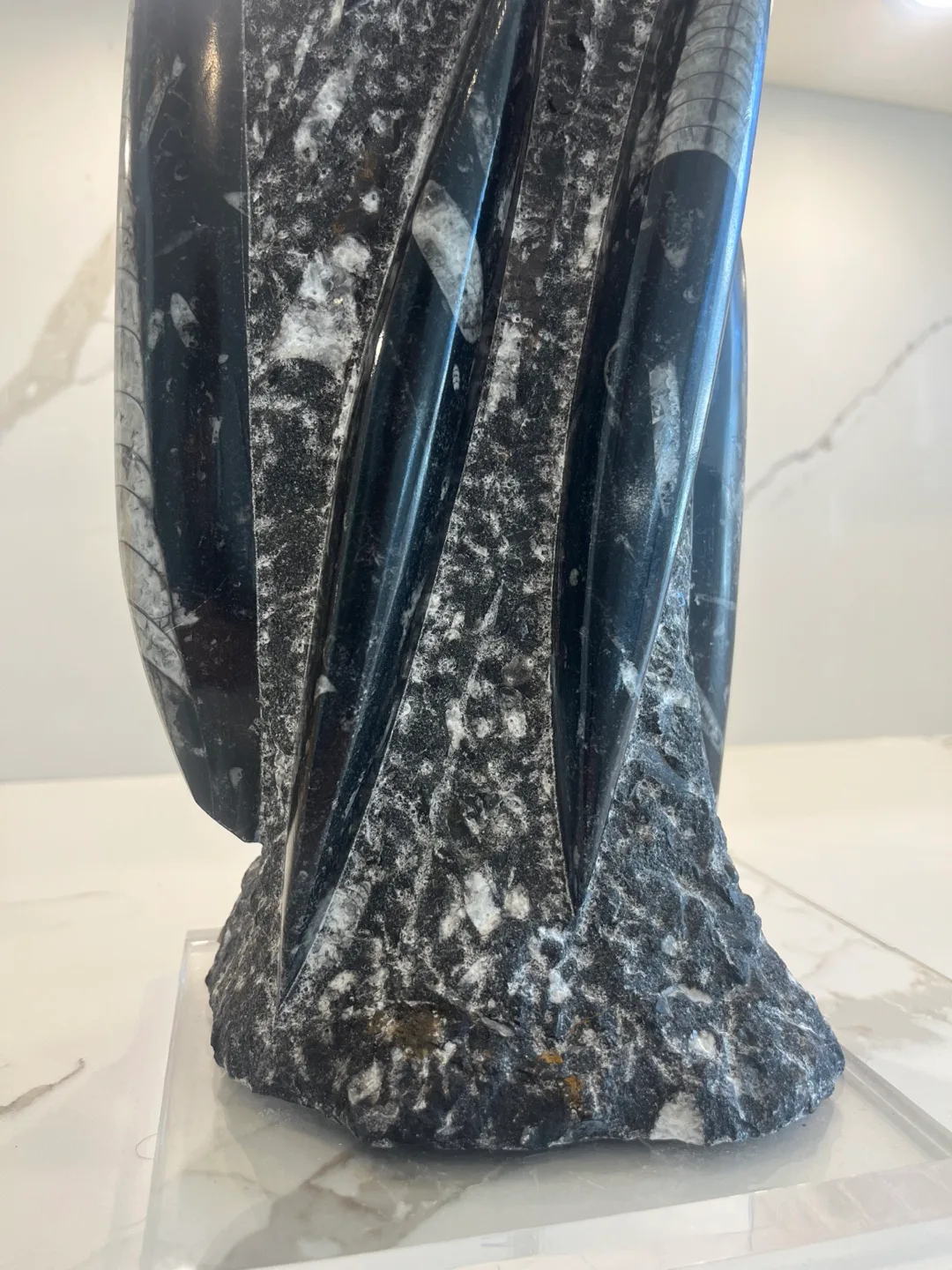 Large Ammonite Fossil image indicator(3)