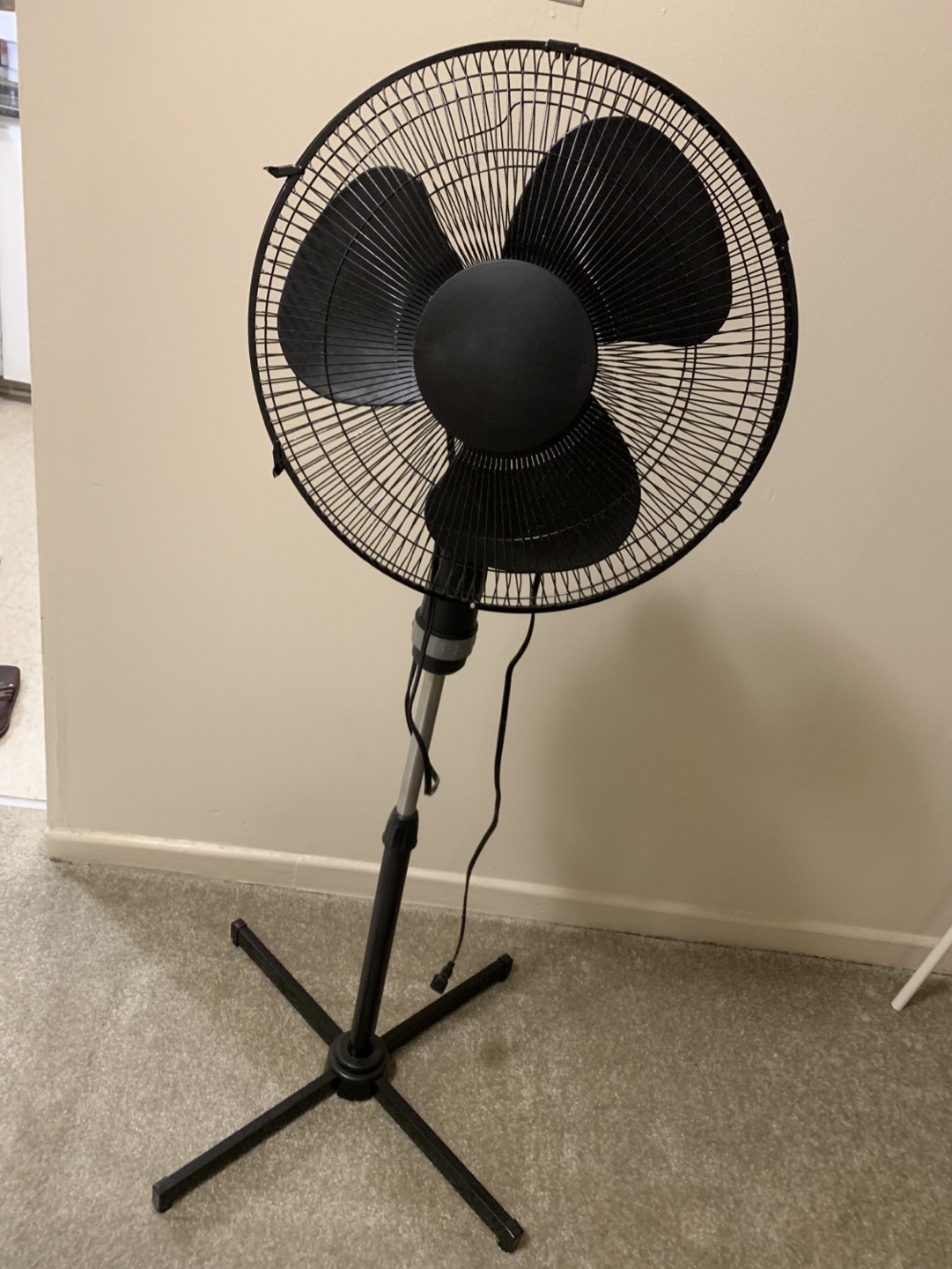 Black Oscillating Stand Fan