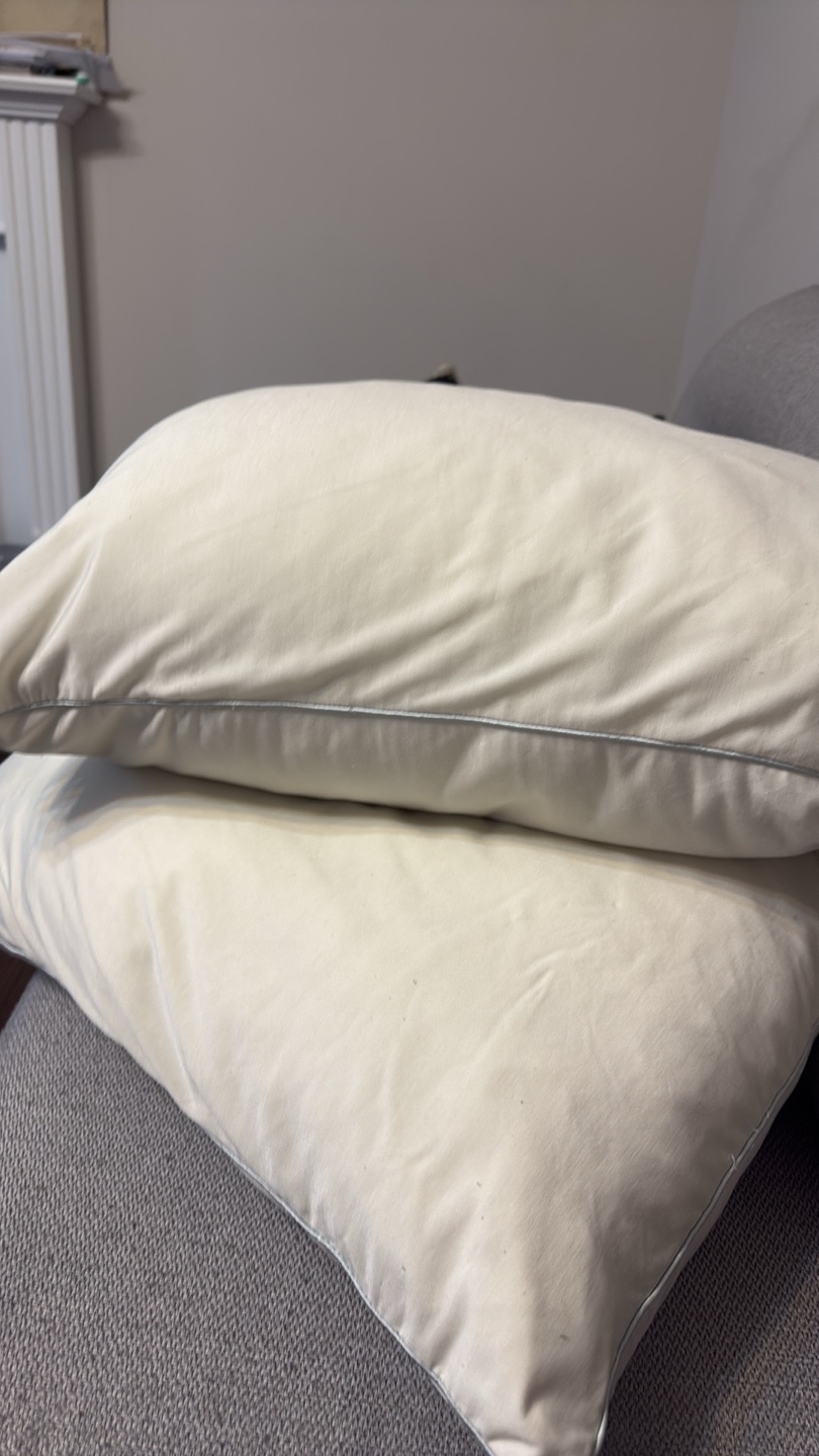 Two Standard Pillows