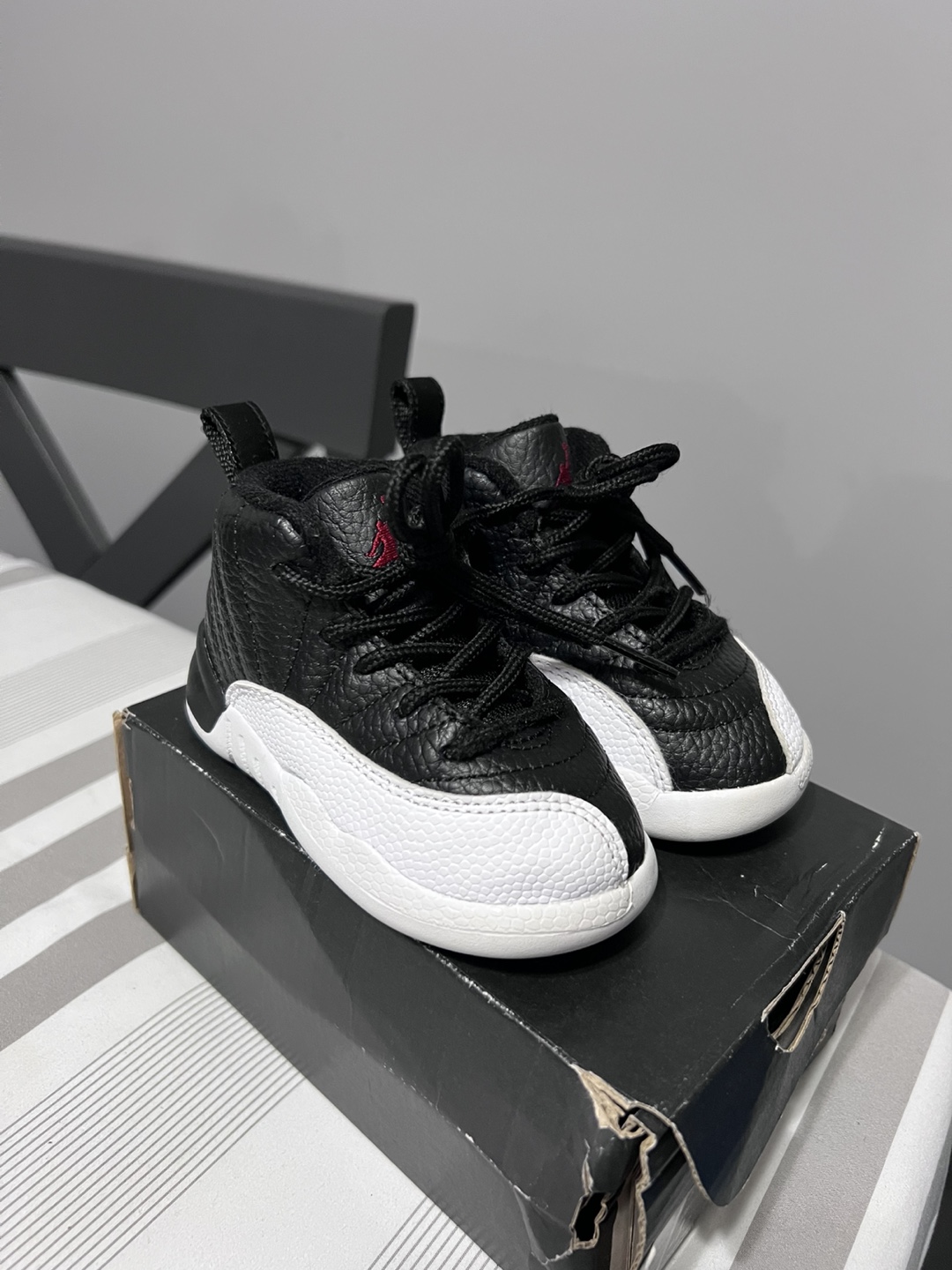 Air Jordan 12