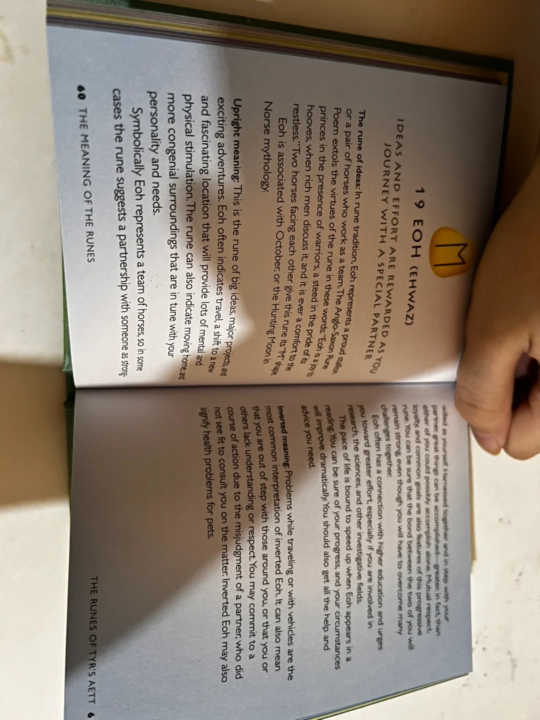 The Nordic Book of Runes by Jonathan Dee image indicator(3)