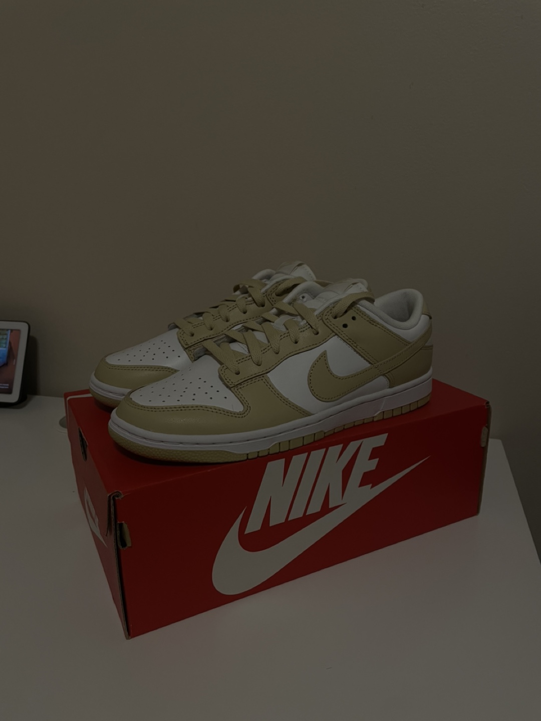 Nike Dunk Low Retro BTTYS Size 8
