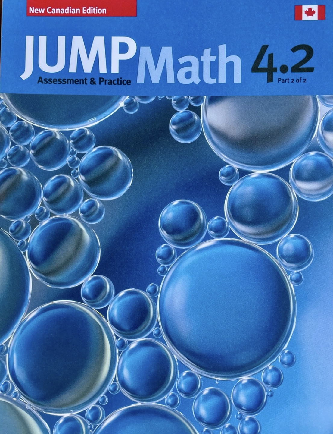 GR. 4 JUMP MATH WORKBOOK 4.2 and 4.1
