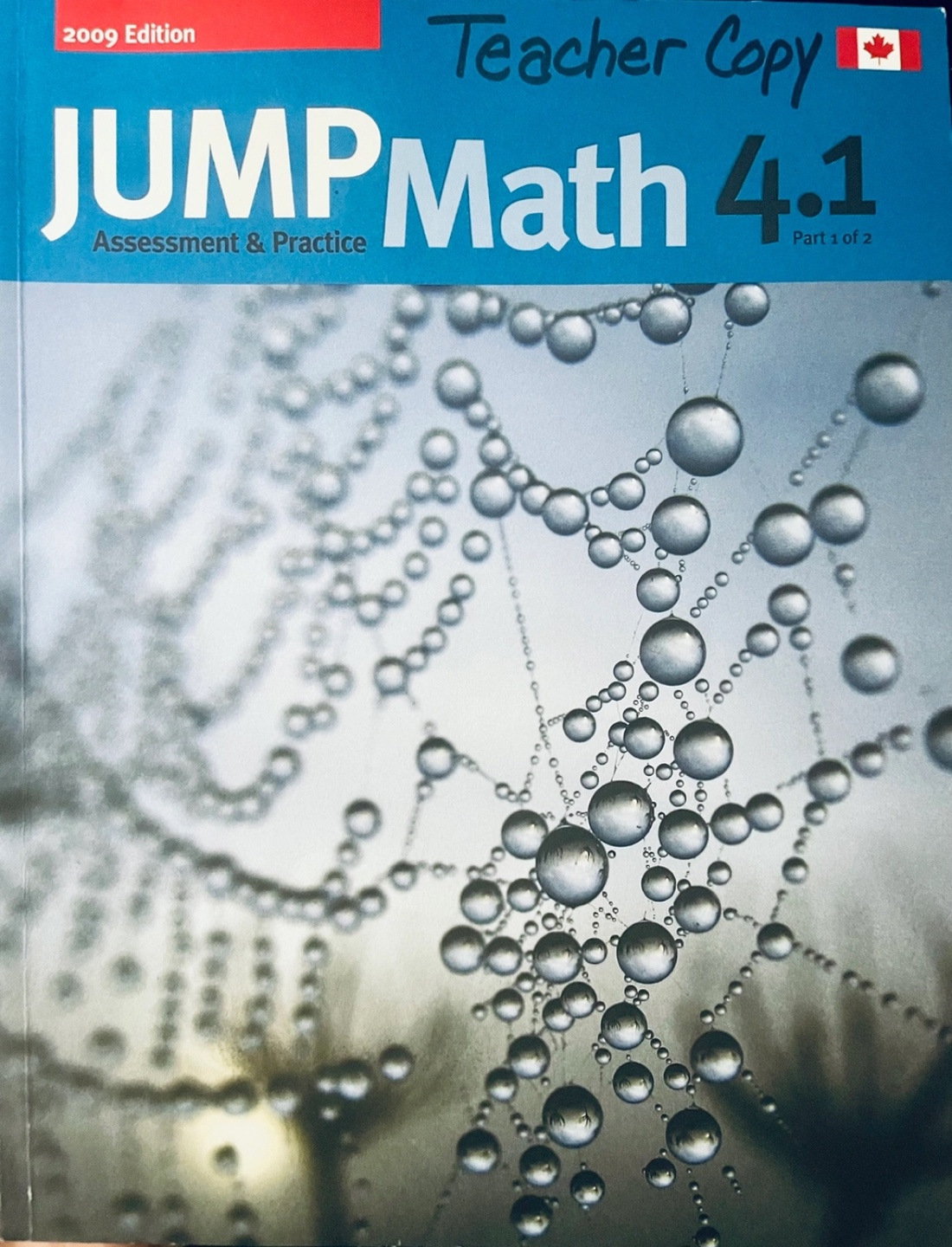 GR. 4 JUMP MATH WORKBOOK 4.2 and 4.1 - photo 3