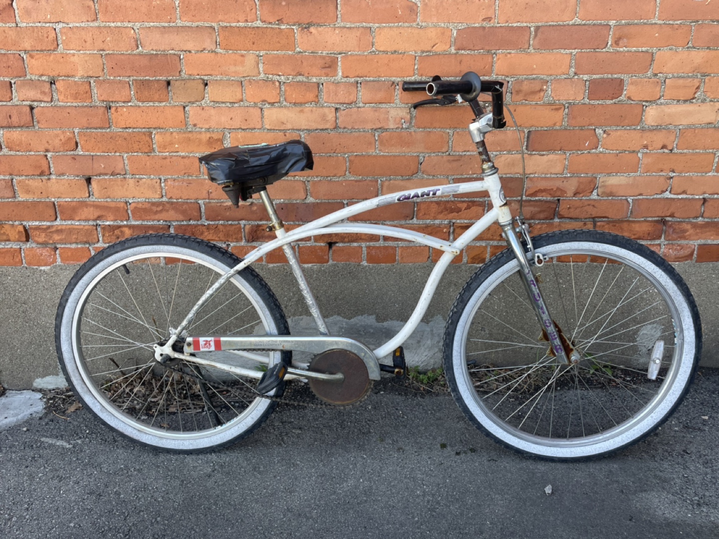 Vintage Giant Cruiser Bicycle