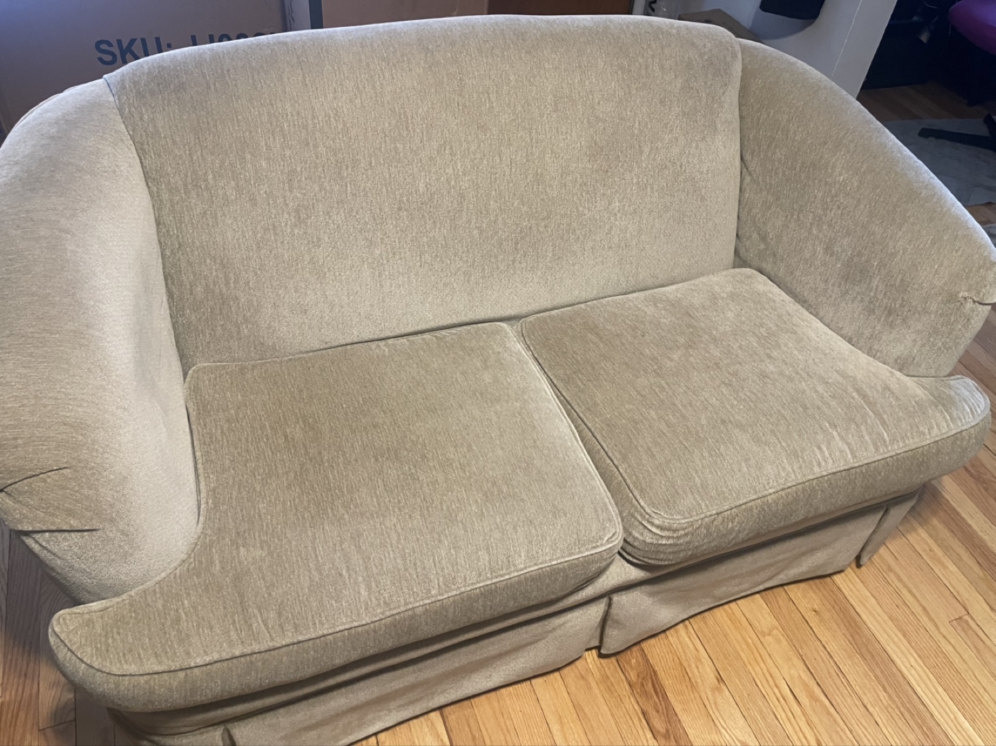 FREE!!! Retro Sofa and Loveseat