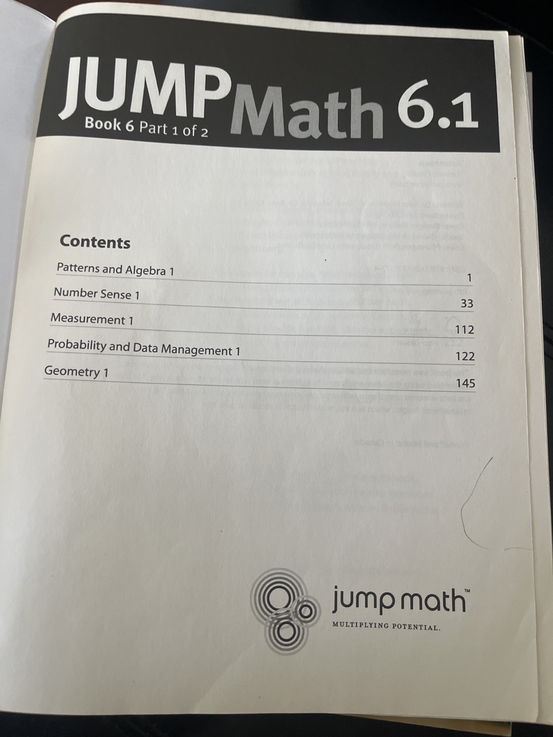 JUMP Math 6.1 Assessment & Practice Book - 2009 Edition - photo 2