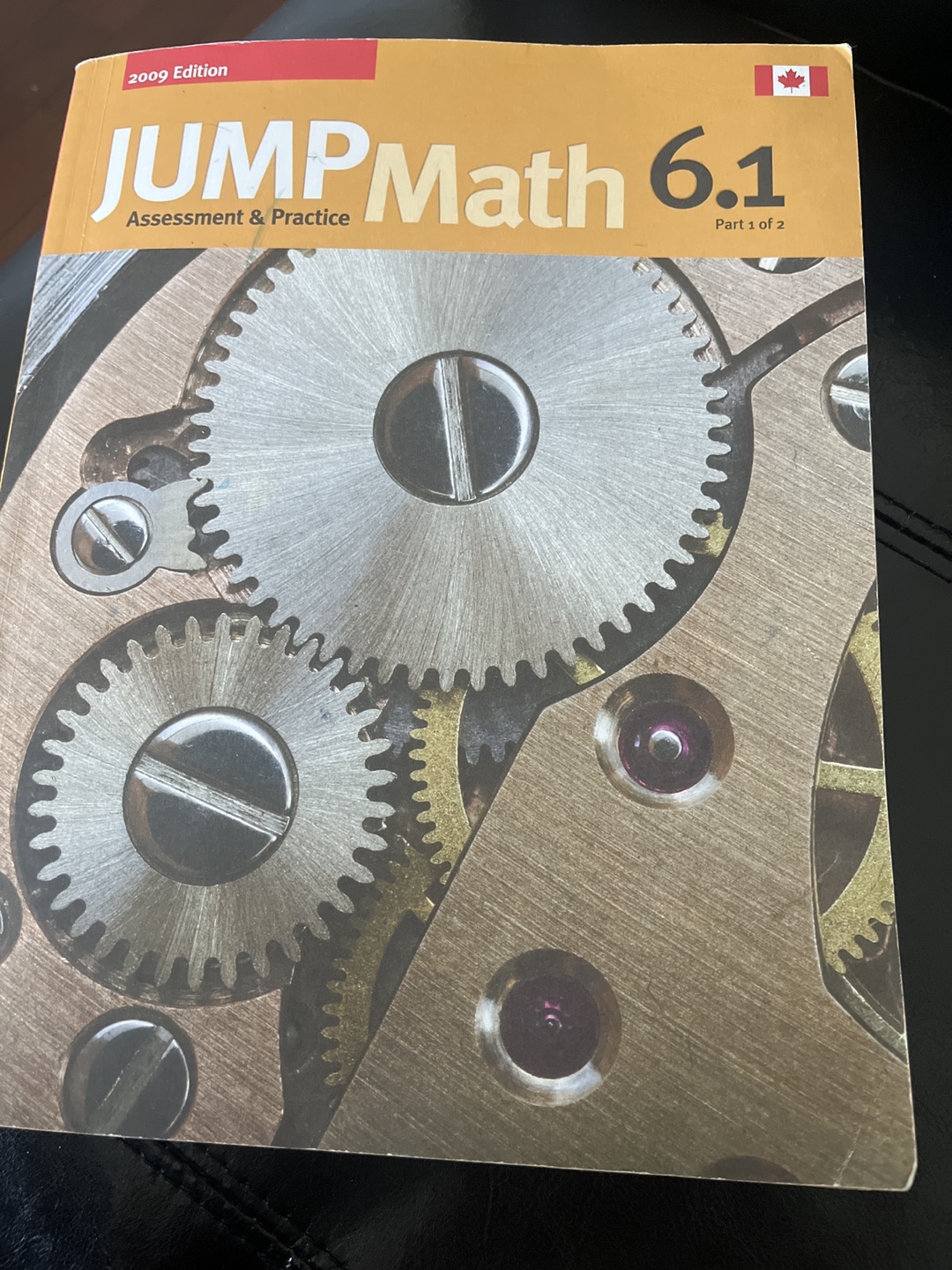 JUMP Math 6.1 Assessment & Practice Book - 2009 Edition