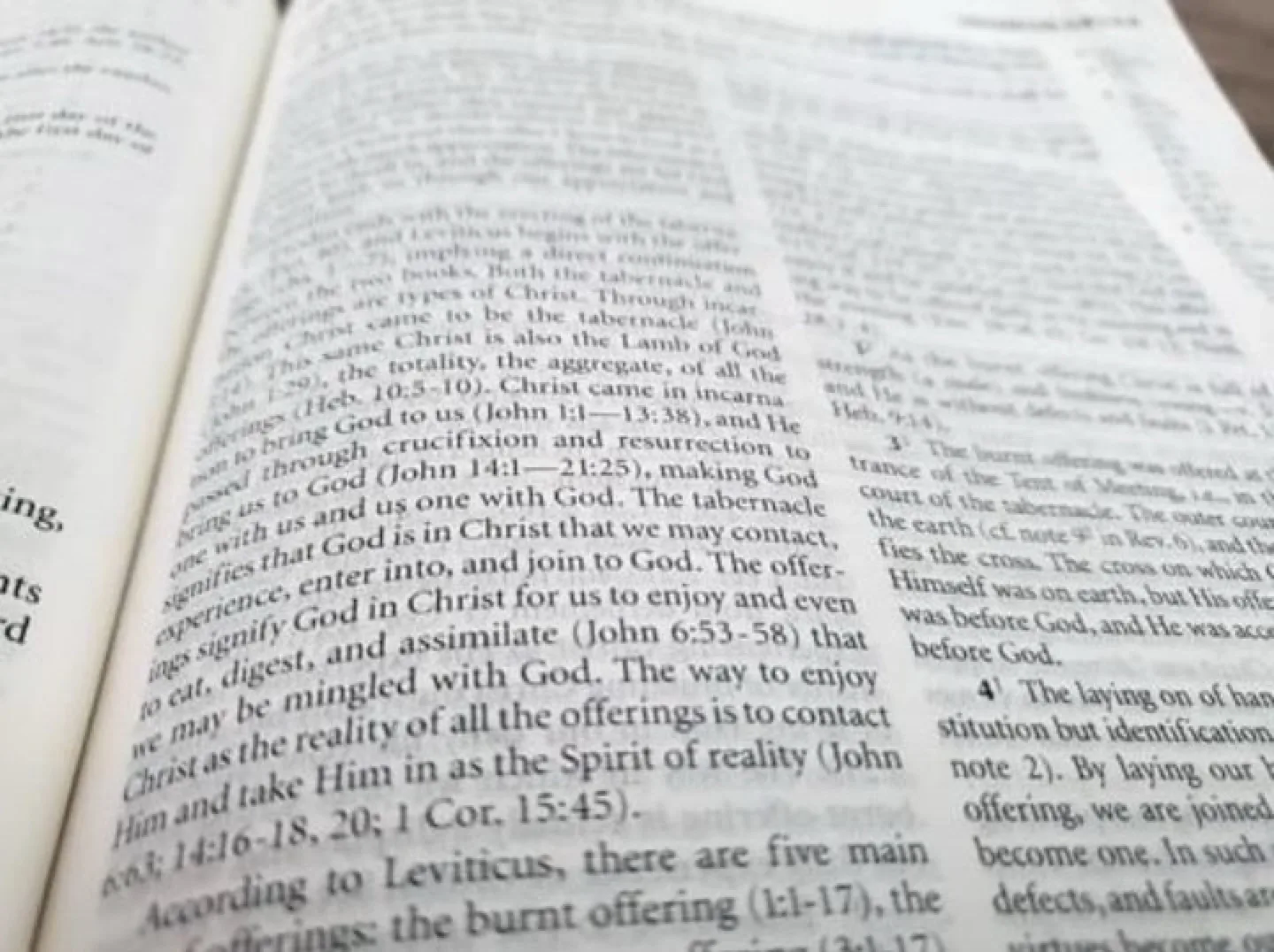 Free New Testament Study Bible image indicator(4)