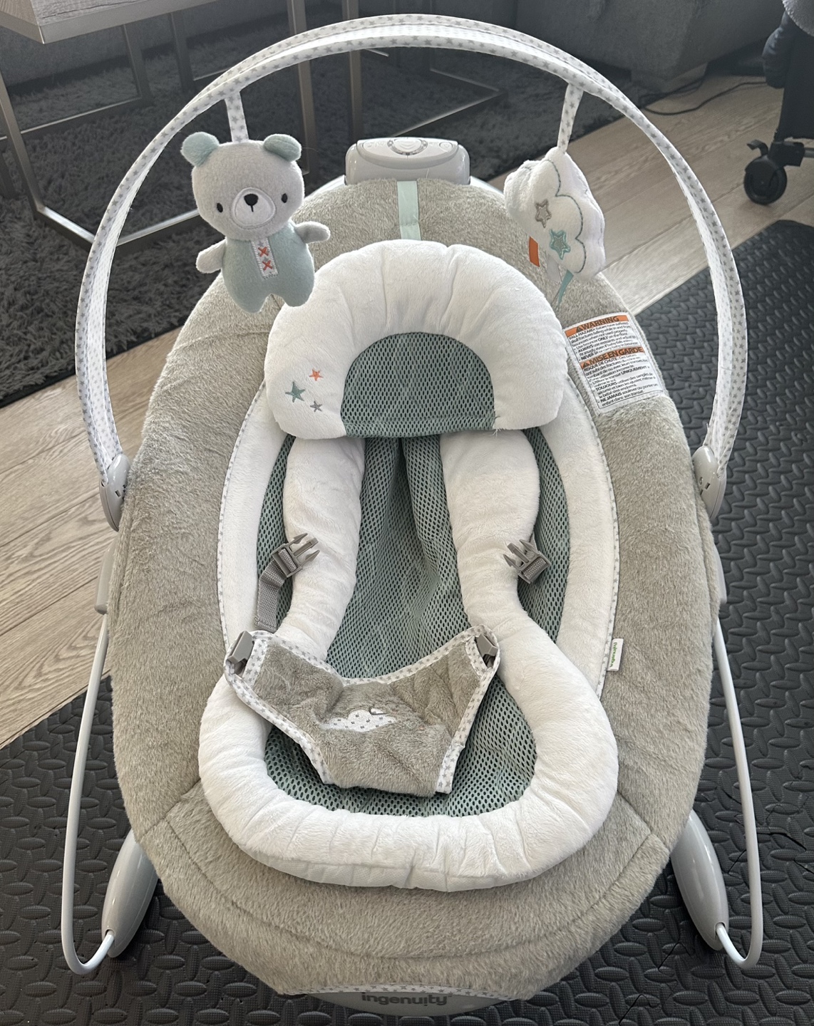 Ingenuity Baby Bouncer